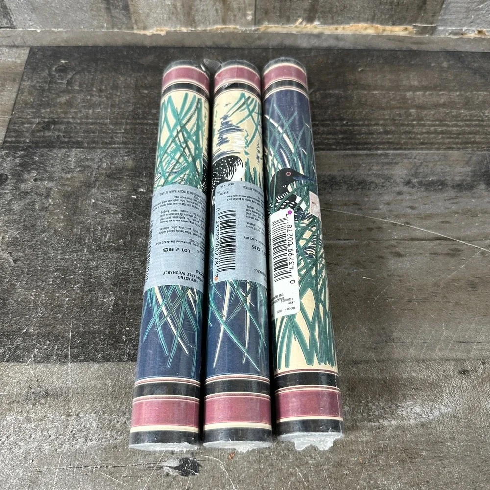 3 VTG Borden Inc Wallpaper Border WB278 ~ LOONS ~ 9
